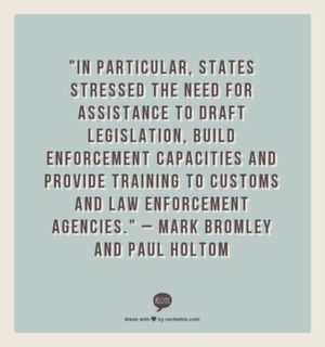 "In particular, states stressed the need for assistance to draft legislation, build enforcement capacities and provide training to customs and law enforcement agencies." - Mark Bromley and Paul Holton