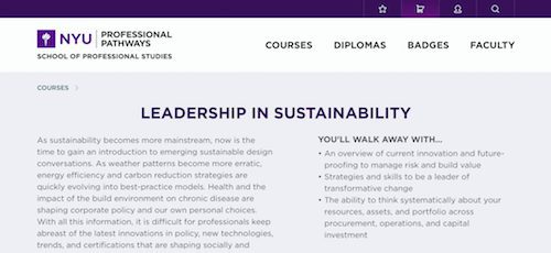 Leadership in Sustainability