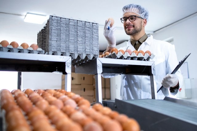 Worker working in a food processing plant 